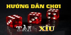 Hướng dẫn chơi tài xỉu 8Day chi tiết nhất